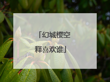 幻城樱空释喜欢谁