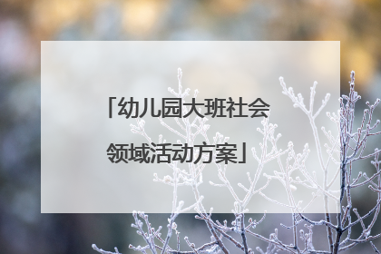 幼儿园大班社会领域活动方案