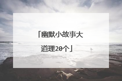幽默小故事大道理20个