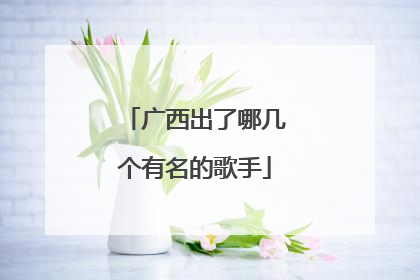 广西出了哪几个有名的歌手