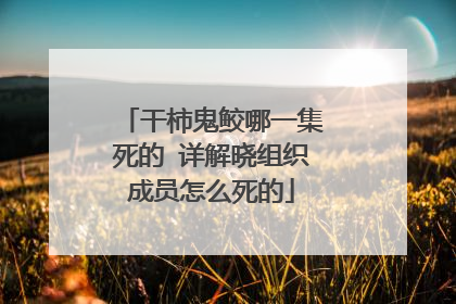 干柿鬼鲛哪一集死的 详解晓组织成员怎么死的