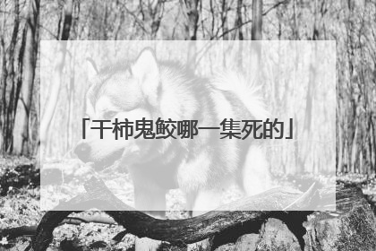 干柿鬼鲛哪一集死的