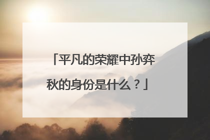 平凡的荣耀中孙弈秋的身份是什么？