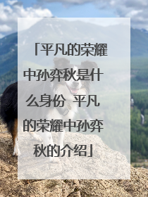 平凡的荣耀中孙弈秋是什么身份 平凡的荣耀中孙弈秋的介绍