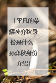 平凡的荣耀孙弈秋身份是什么 孙弈秋身份介绍