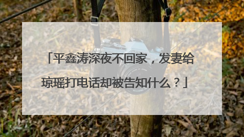 平鑫涛深夜不回家，发妻给琼瑶打电话却被告知什么？