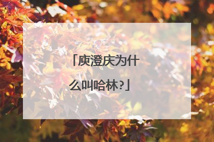 庾澄庆为什么叫哈林?