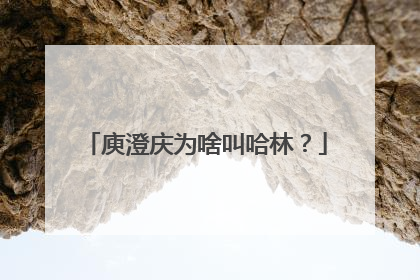 庾澄庆为啥叫哈林？