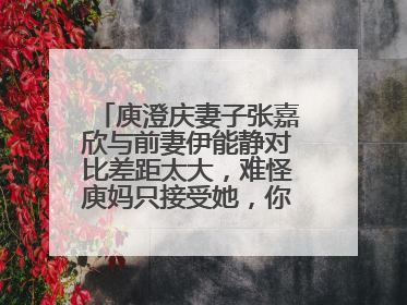 庾澄庆妻子张嘉欣与前妻伊能静对比差距太大，难怪庾妈只接受她，你怎么看？