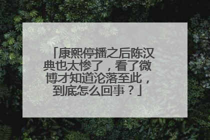 康熙停播之后陈汉典也太惨了，看了微博才知道沦落至此，到底怎么回事？