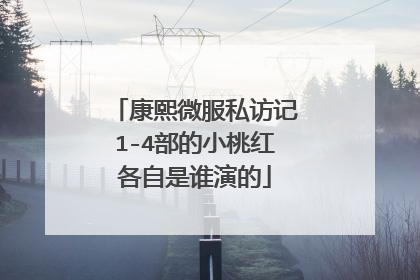 康熙微服私访记1-4部的小桃红各自是谁演的