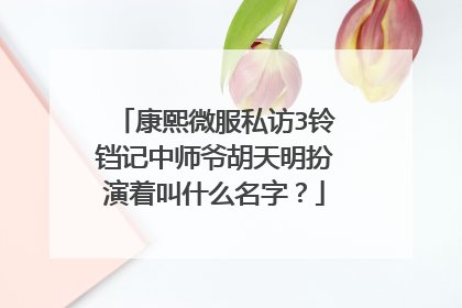 康熙微服私访3铃铛记中师爷胡天明扮演着叫什么名字？