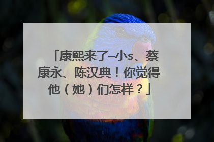 康熙来了—小s、蔡康永、陈汉典！你觉得他（她）们怎样？