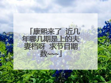康熙来了 近几年哪几期是上的夫妻档呀 求节目期数~~~