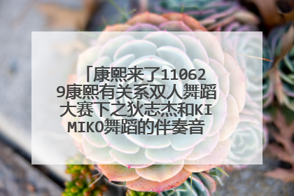 康熙来了110629康熙有关系双人舞蹈大赛下之狄志杰和KIMIKO舞蹈的伴奏音乐是什么歌曲？