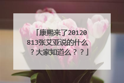 康熙来了20120813张艾亚说的什么?大家知道么??