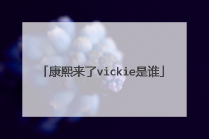 康熙来了vickie是谁