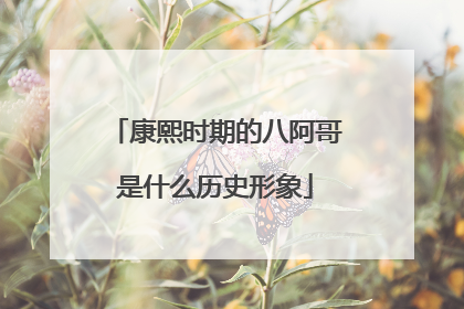 康熙时期的八阿哥是什么历史形象