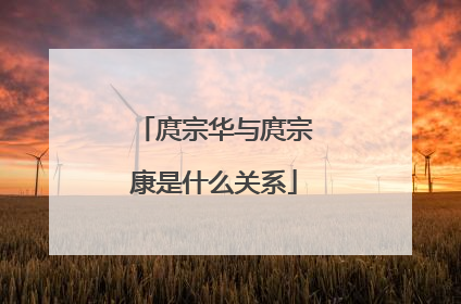 庹宗华与庹宗康是什么关系