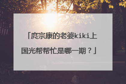 庹宗康的老婆kiki上国光帮帮忙是哪一期?