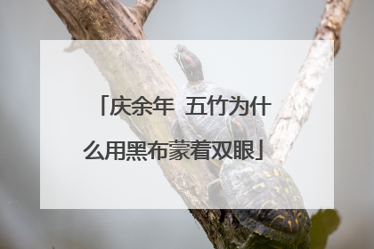 庆余年 五竹为什么用黑布蒙着双眼