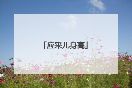 应釆儿身高