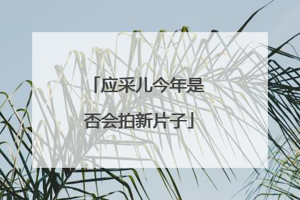 应采儿今年是否会拍新片子