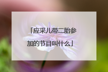 应采儿带二胎参加的节目叫什么