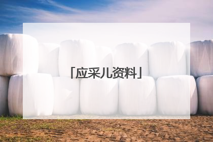 应采儿资料