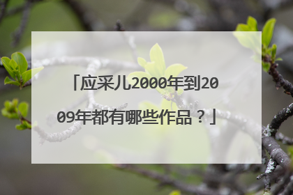 应采儿2000年到2009年都有哪些作品?