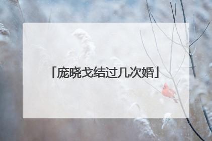 庞晓戈结过几次婚