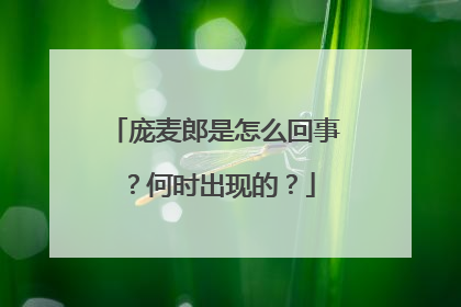 庞麦郎是怎么回事？何时出现的？
