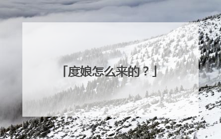 度娘怎么来的？