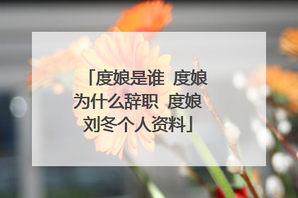 度娘是谁 度娘为什么辞职 度娘刘冬个人资料