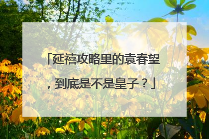 延禧攻略里的袁春望,到底是不是皇子?