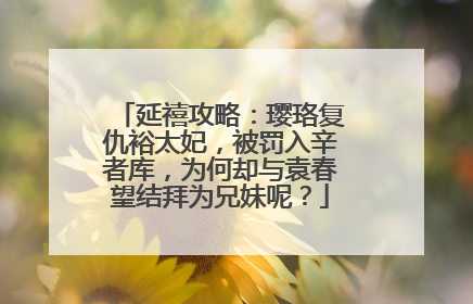 延禧攻略：璎珞复仇裕太妃，被罚入辛者库，为何却与袁春望结拜为兄妹呢？