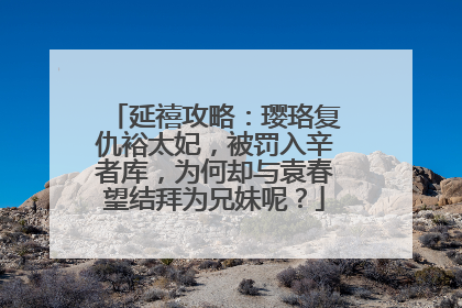 延禧攻略：璎珞复仇裕太妃，被罚入辛者库，为何却与袁春望结拜为兄妹呢？