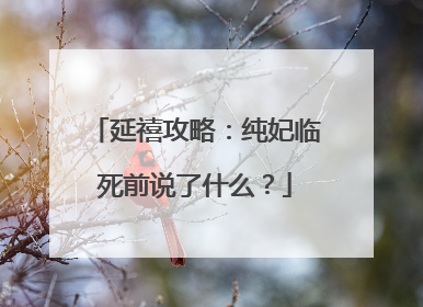 延禧攻略:纯妃临死前说了什么?