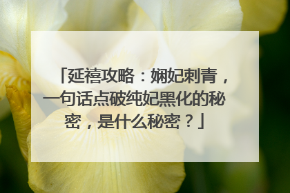 延禧攻略：娴妃刺青，一句话点破纯妃黑化的秘密，是什么秘密？