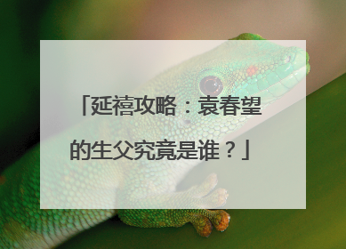 延禧攻略:袁春望的生父究竟是谁?