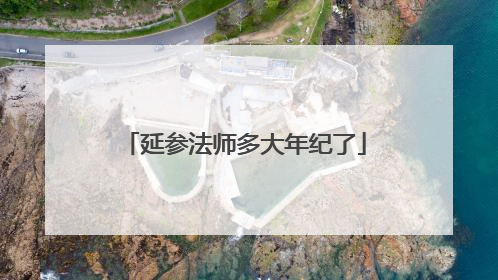 延参法师多大年纪了