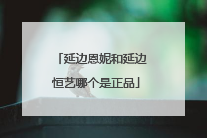 延边恩妮和延边恒艺哪个是正品