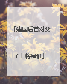 建国后首对父子上将是谁