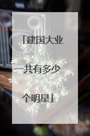建国大业一共有多少个明星