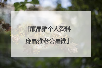 廉晶雅个人资料 廉晶雅老公是谁