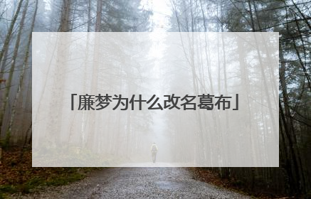 廉梦为什么改名葛布