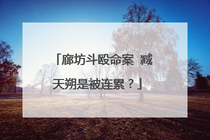 廊坊斗殴命案 臧天朔是被连累?