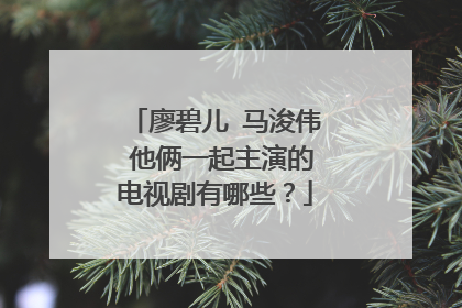 廖碧儿 马浚伟 他俩一起主演的电视剧有哪些？