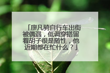 廖凡骑自行车出街被偶遇,低调穿搭留着胡子很是随性,他近期都在忙什么?