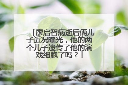 廖启智病逝后俩儿子近况曝光，他的两个儿子遗传了他的演戏细胞了吗？